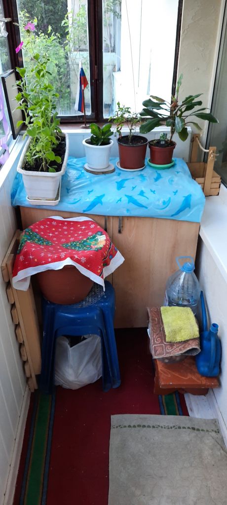 Продажа 2-комнатной квартиры, Батайск, Пролетарская ул