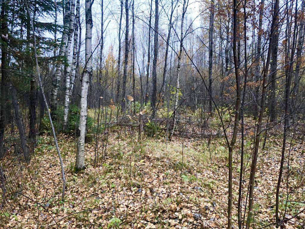 Продажа участка, Соломидино