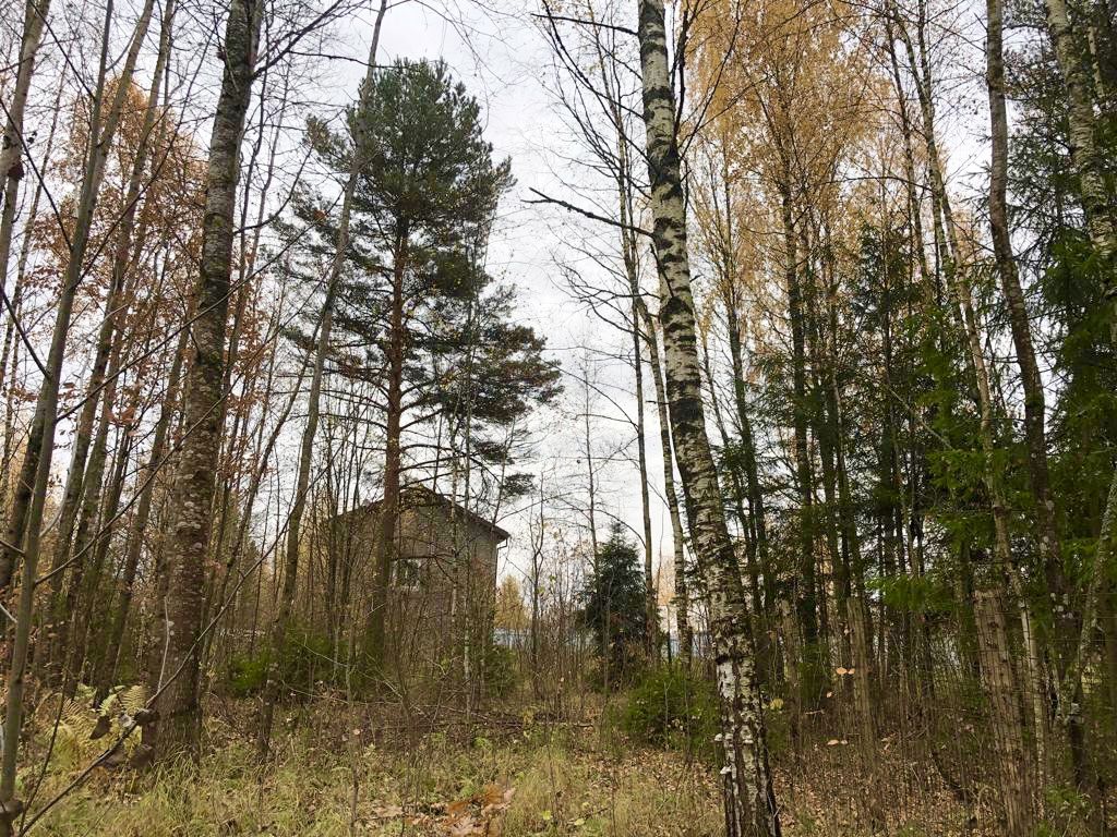 Продажа участка, Соломидино