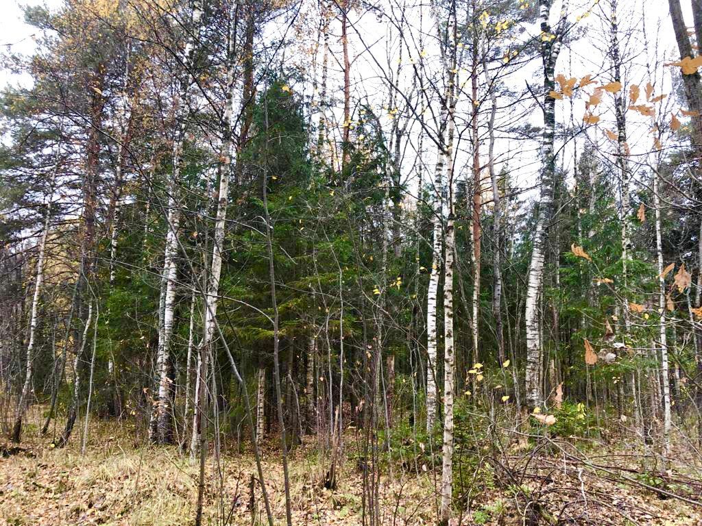 Продажа участка, Соломидино