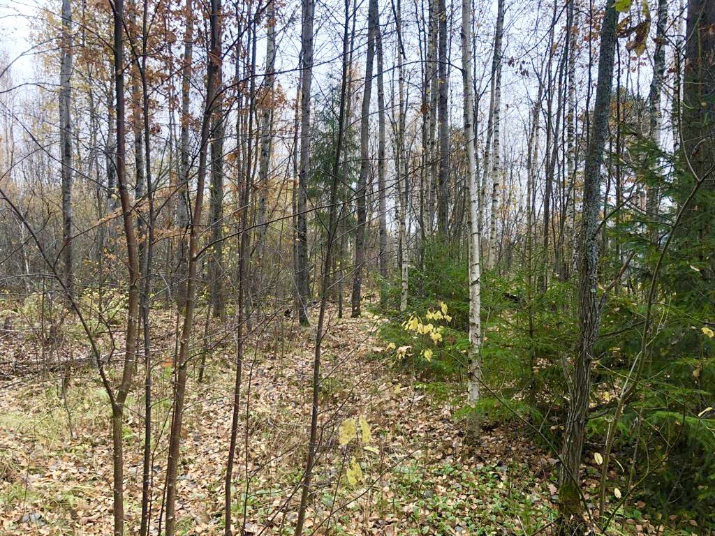 Продажа участка, Соломидино