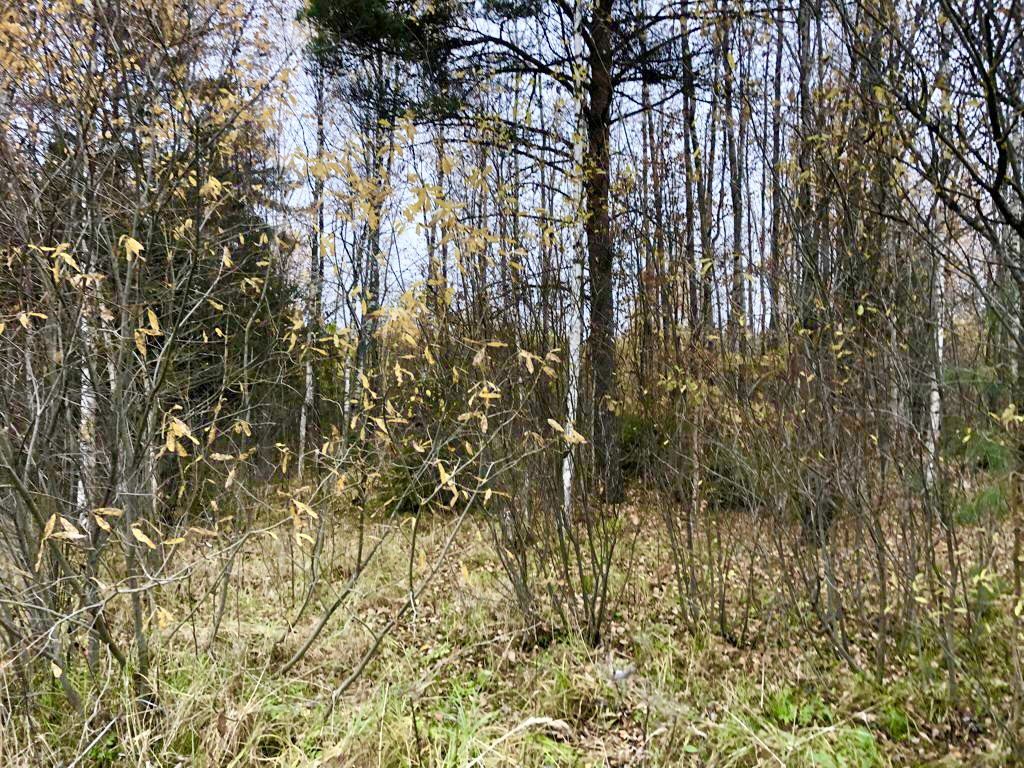 Продажа участка, Соломидино