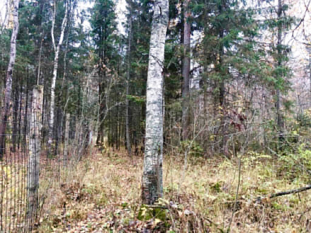 Продажа участка, Соломидино