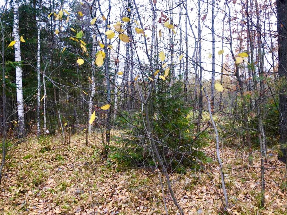 Продажа участка, Соломидино