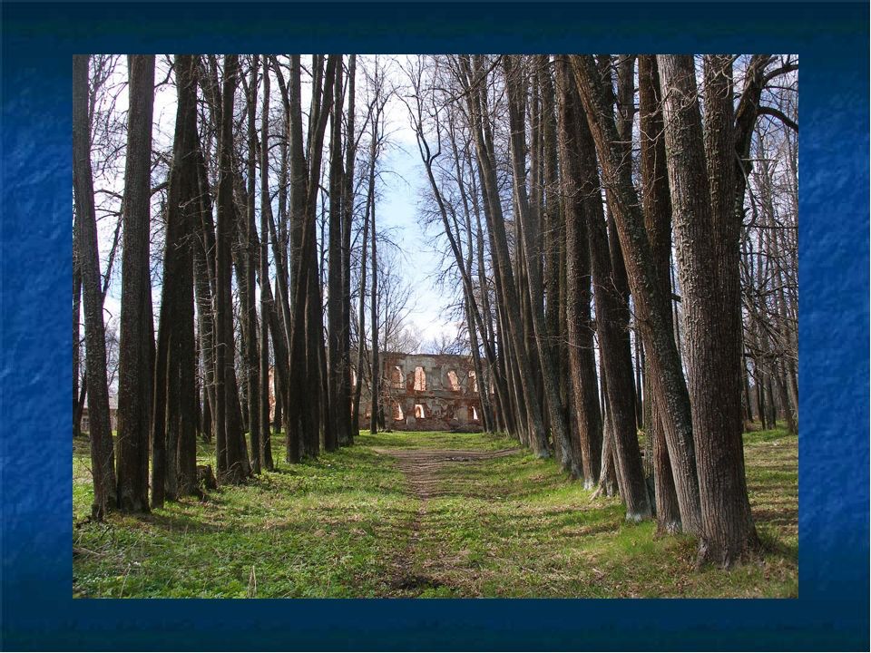 Продажа коммерческой недвижимости, 77м <sup>2</sup>, Чернцы, центральная,  33а