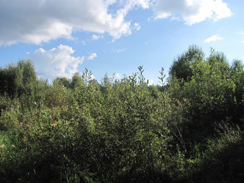 Продажа участка, Малое Пальцино