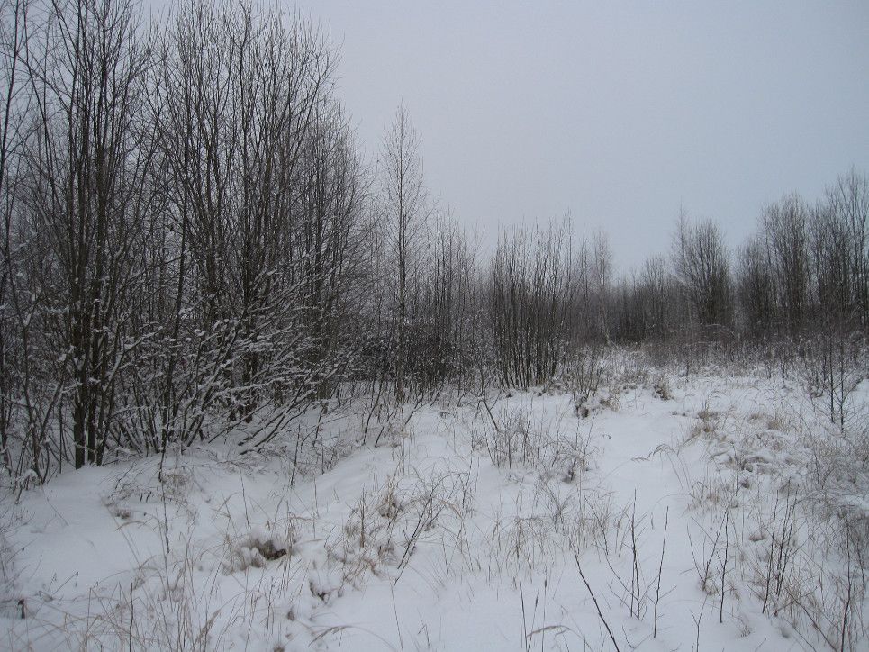 Продажа участка, Малое Пальцино