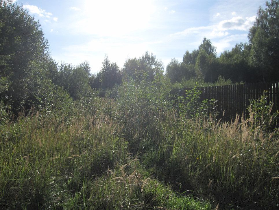 Продажа участка, Малое Пальцино