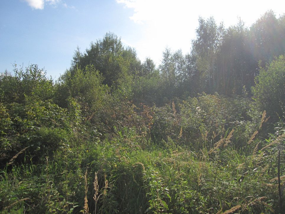 Продажа участка, Малое Пальцино