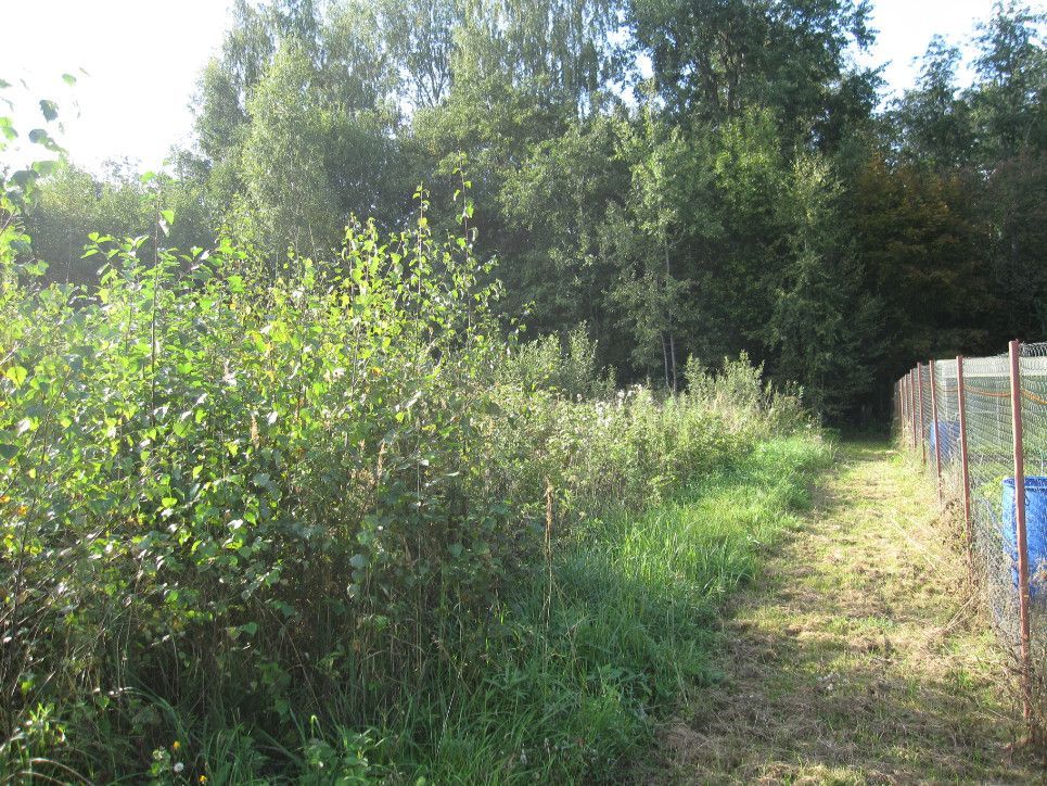 Продажа участка, Малое Пальцино