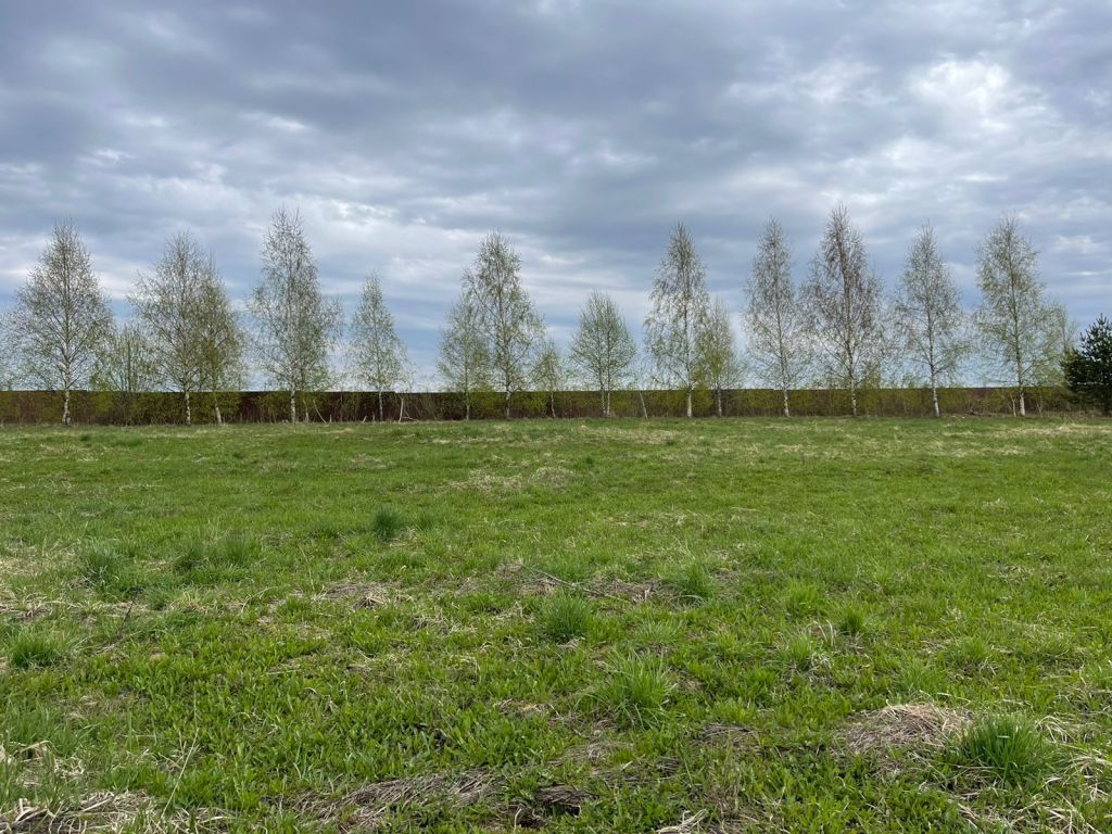 Продажа участка, Веслево