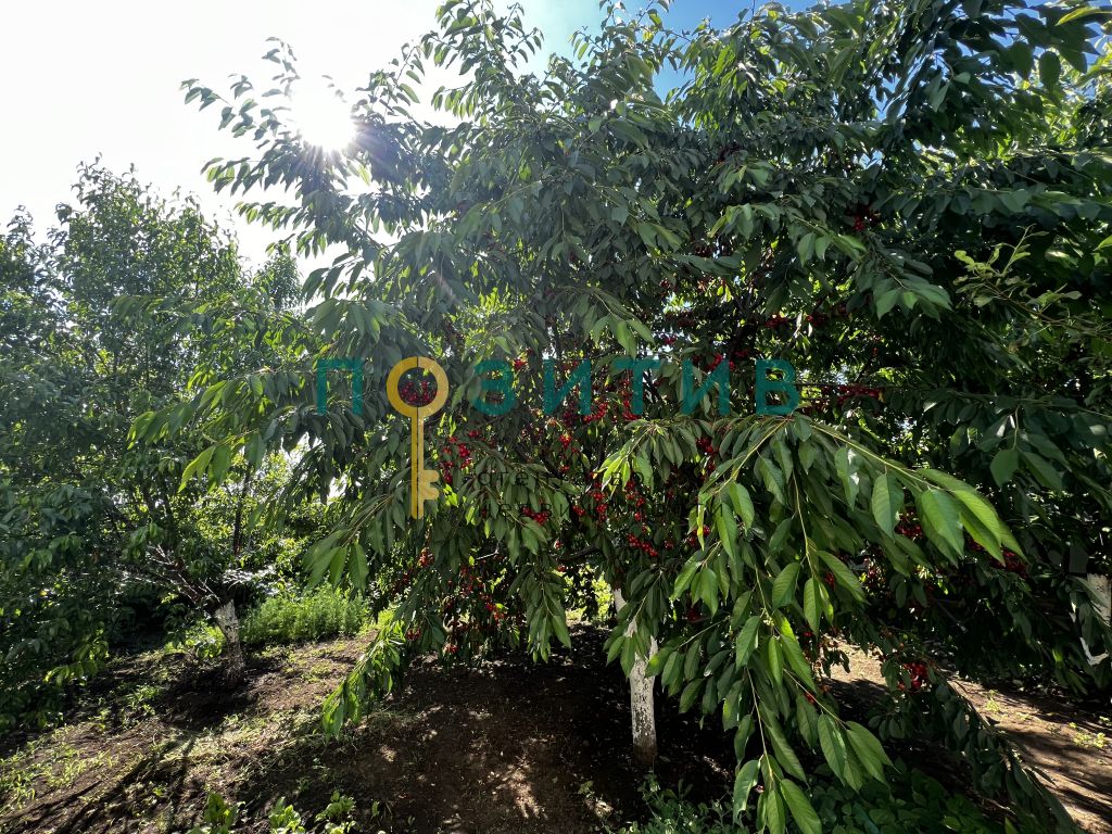 Продажа дома, 280м <sup>2</sup>, 10 сот., Загорский, Светлая