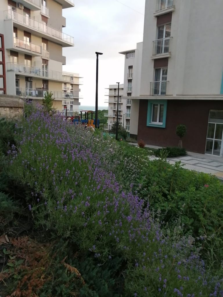 Продажа 1-комнатной квартиры, Варваровка, Калинина,  150/8