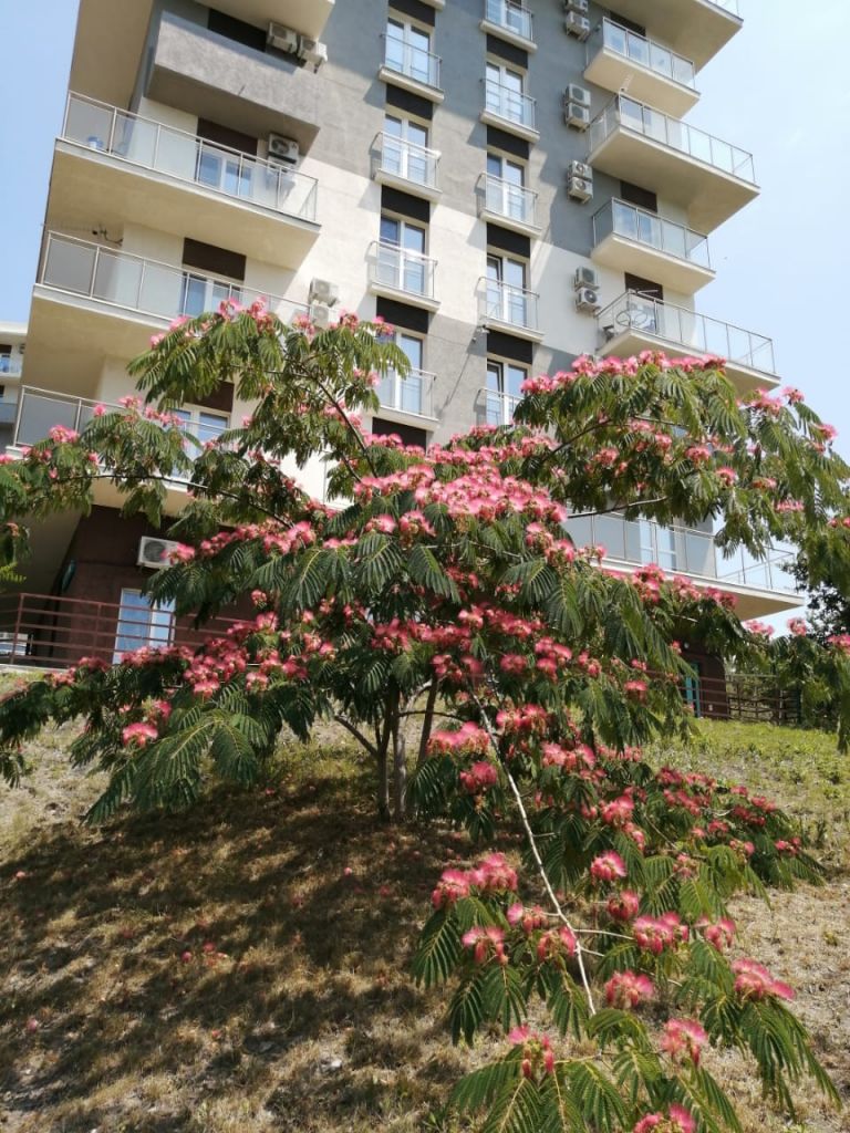 Продажа 1-комнатной квартиры, Варваровка, Калинина,  150/8