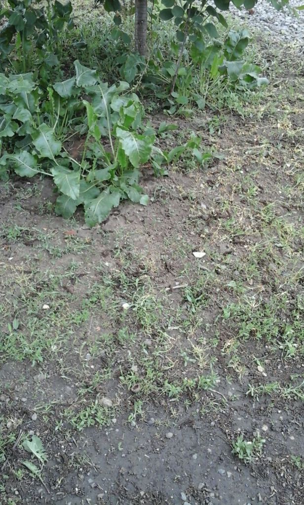 Продажа дома, 50м <sup>2</sup>, 3 сот., Батайск, 50 лет Октября ул