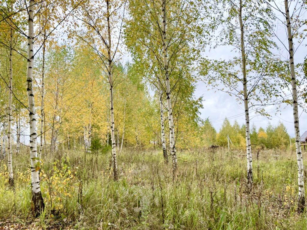 Продажа участка, Иванисово