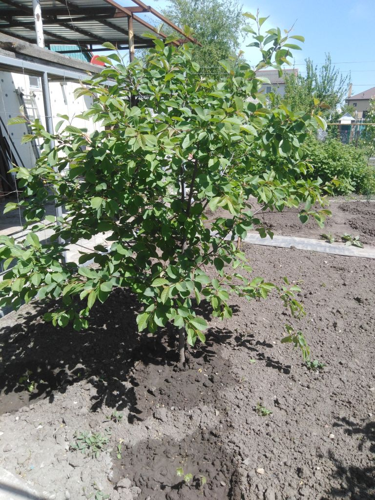 Продажа дома, 48м <sup>2</sup>, 13 сот., Синявское, береговая