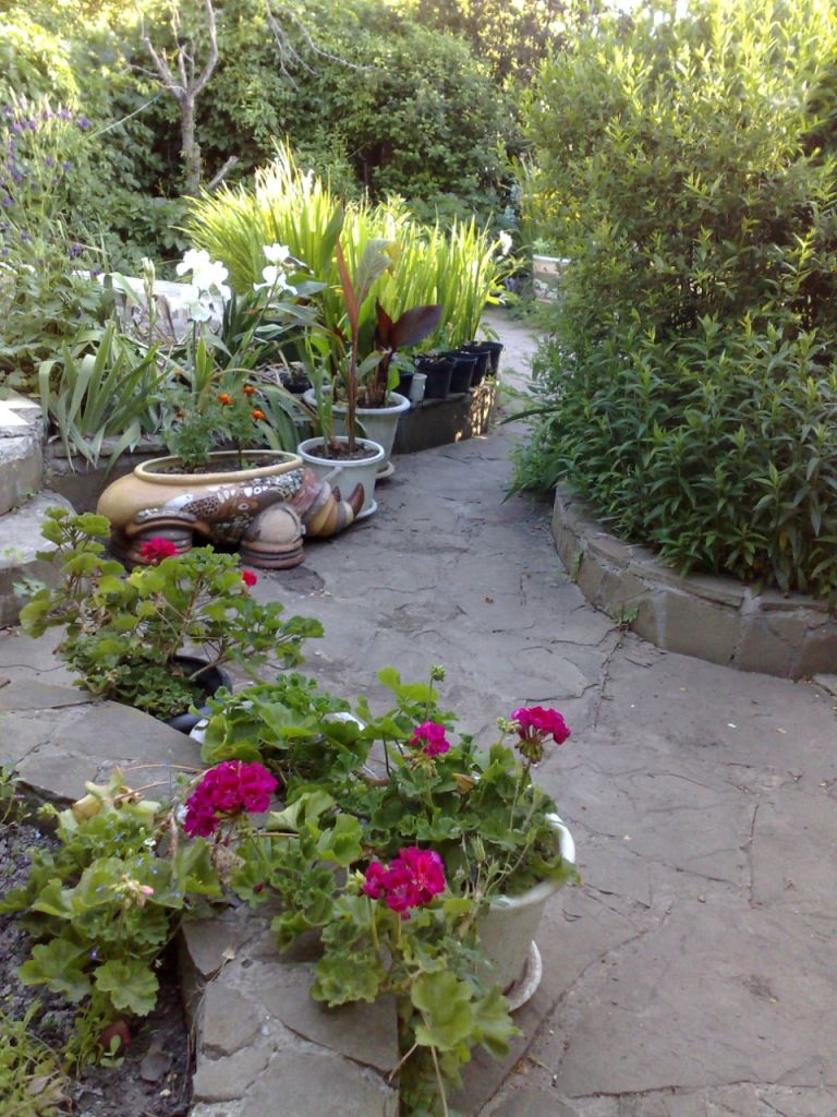 Продажа дома, 48м <sup>2</sup>, 9 сот., Синявское, Ленина