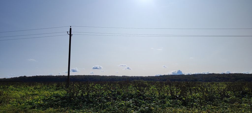 Продажа участка, Придорожный