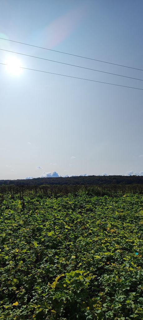 Продажа участка, Придорожный