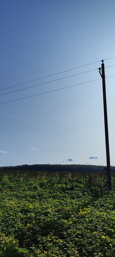 Продажа участка, Придорожный