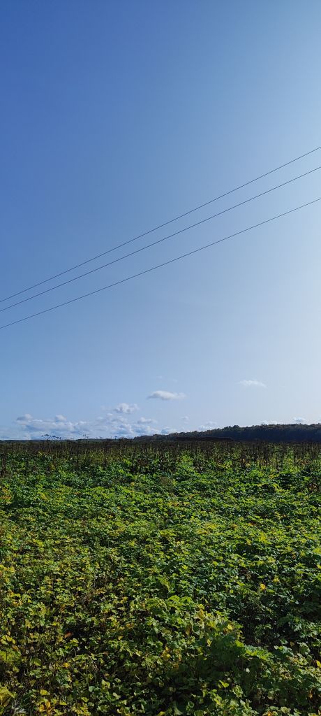 Продажа участка, Придорожный