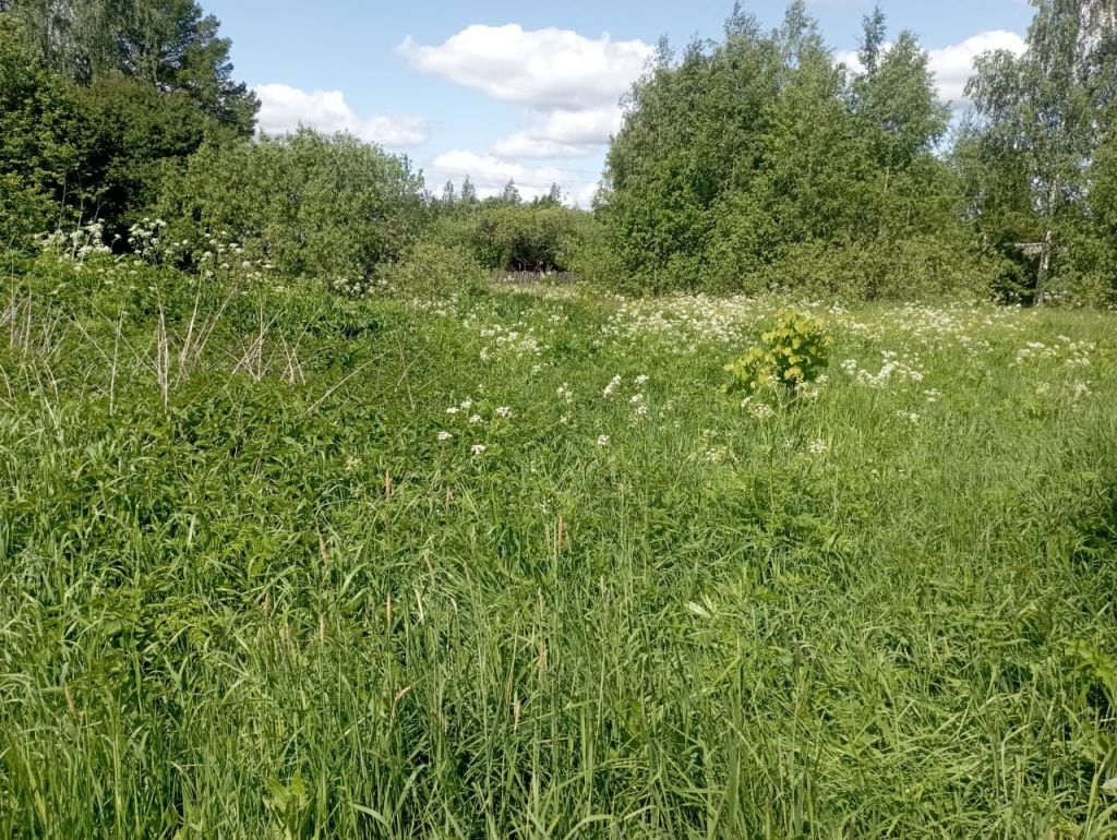 Продажа участка, Починки,  4