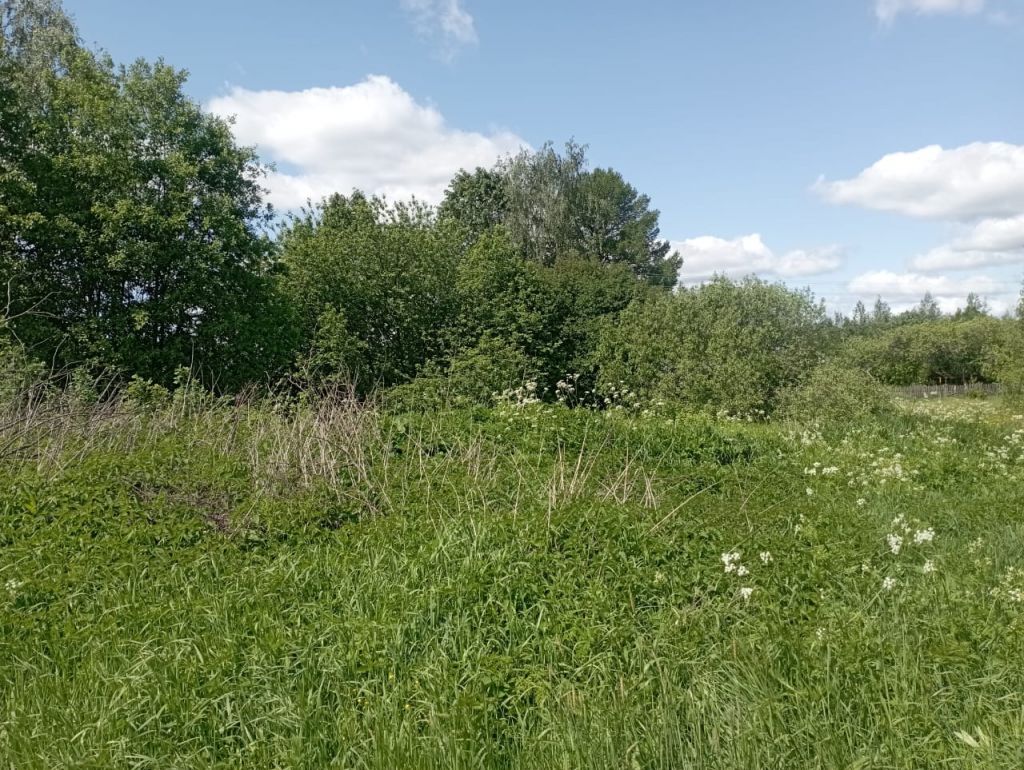 Продажа участка, Починки,  4