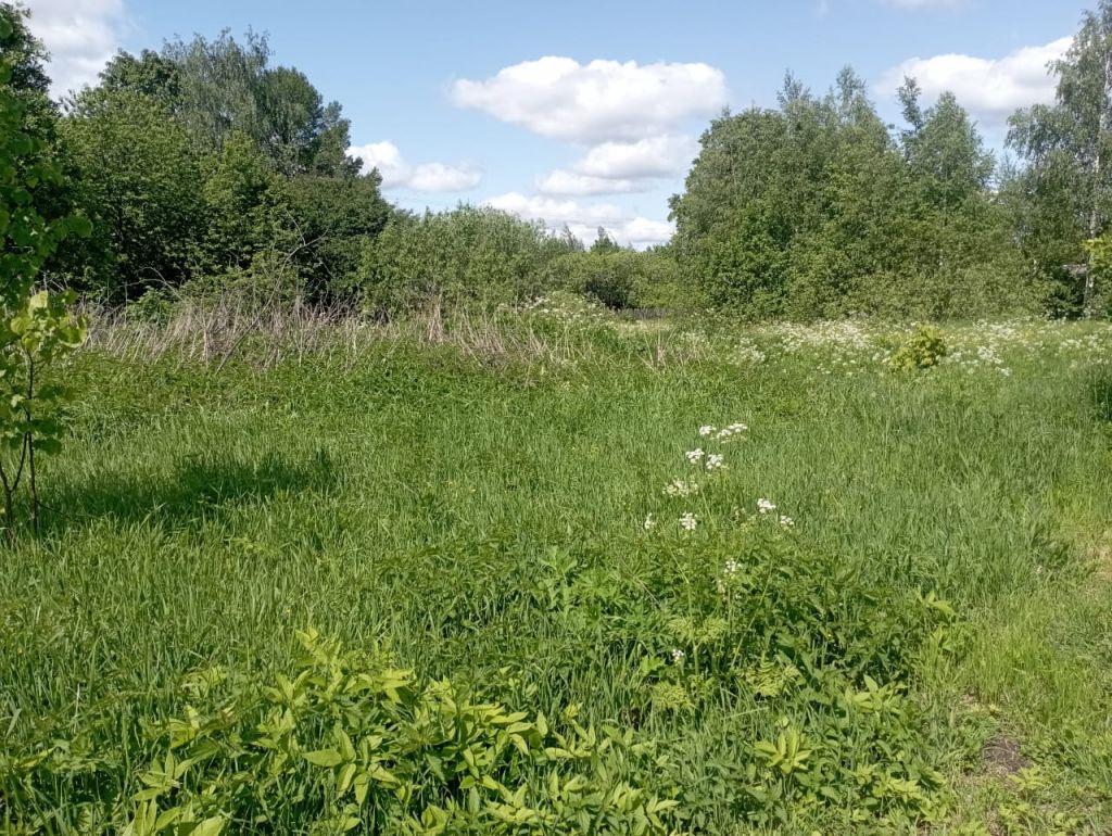 Продажа участка, Починки,  4