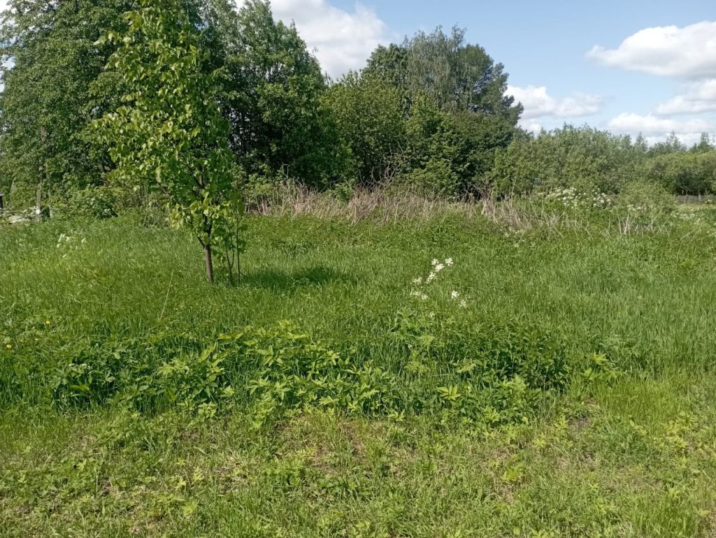 Продажа участка, Починки,  4