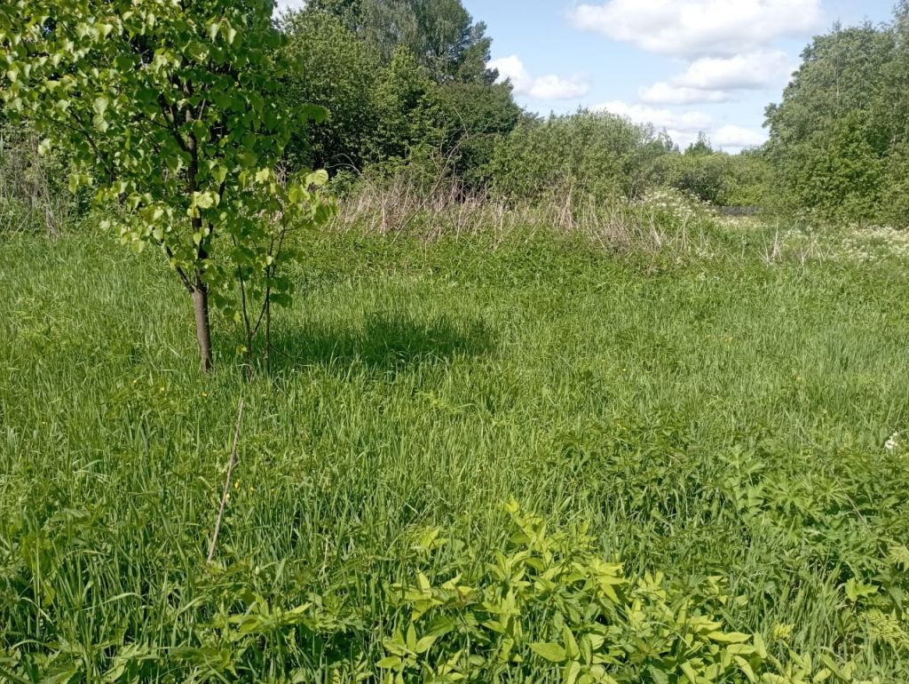 Продажа участка, Починки,  4