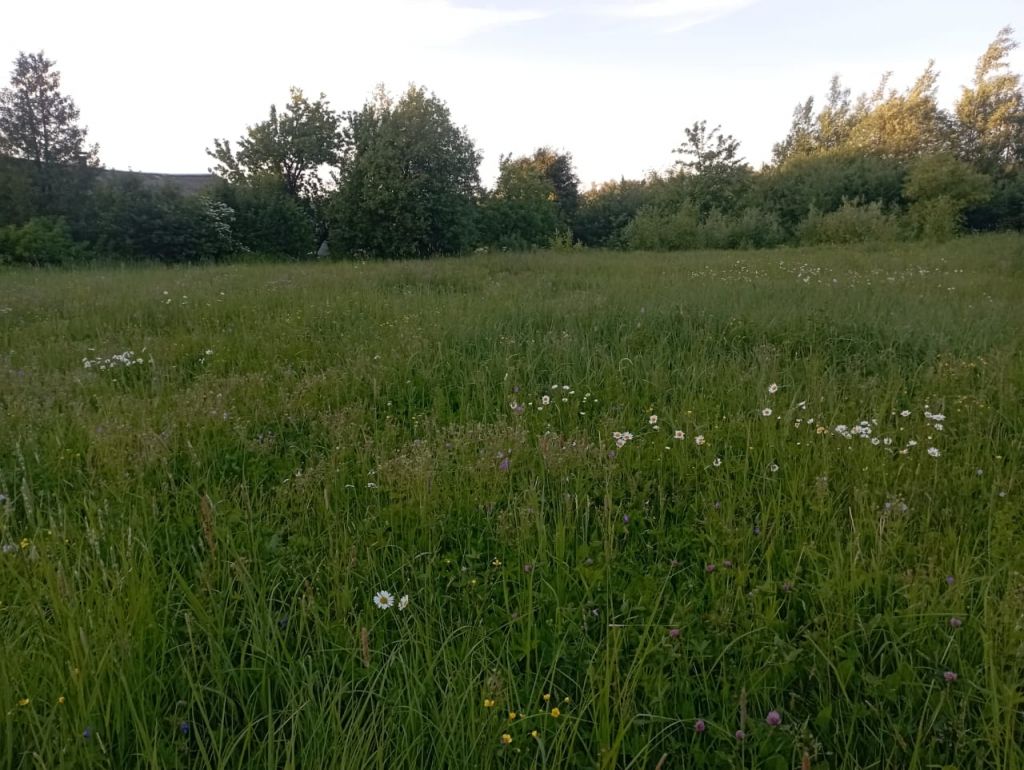 Продажа участка, Починки,  4