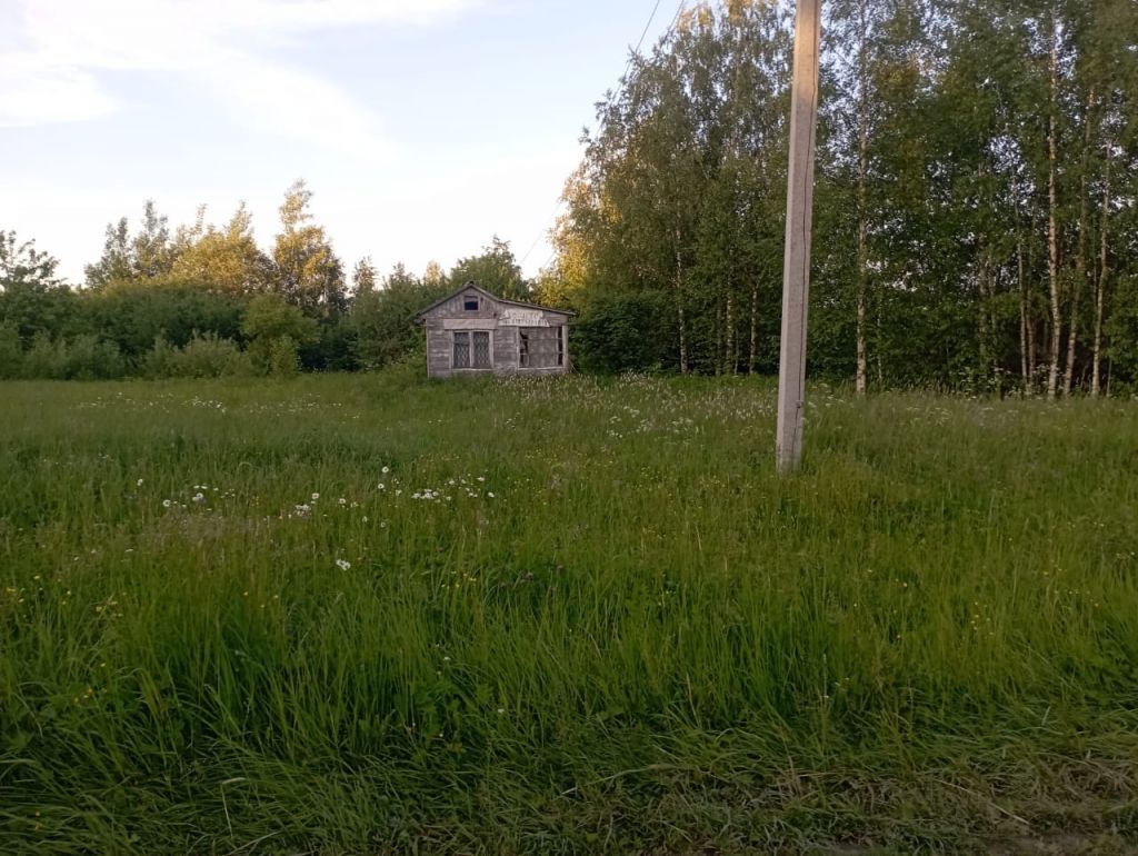 Продажа участка, Починки,  4