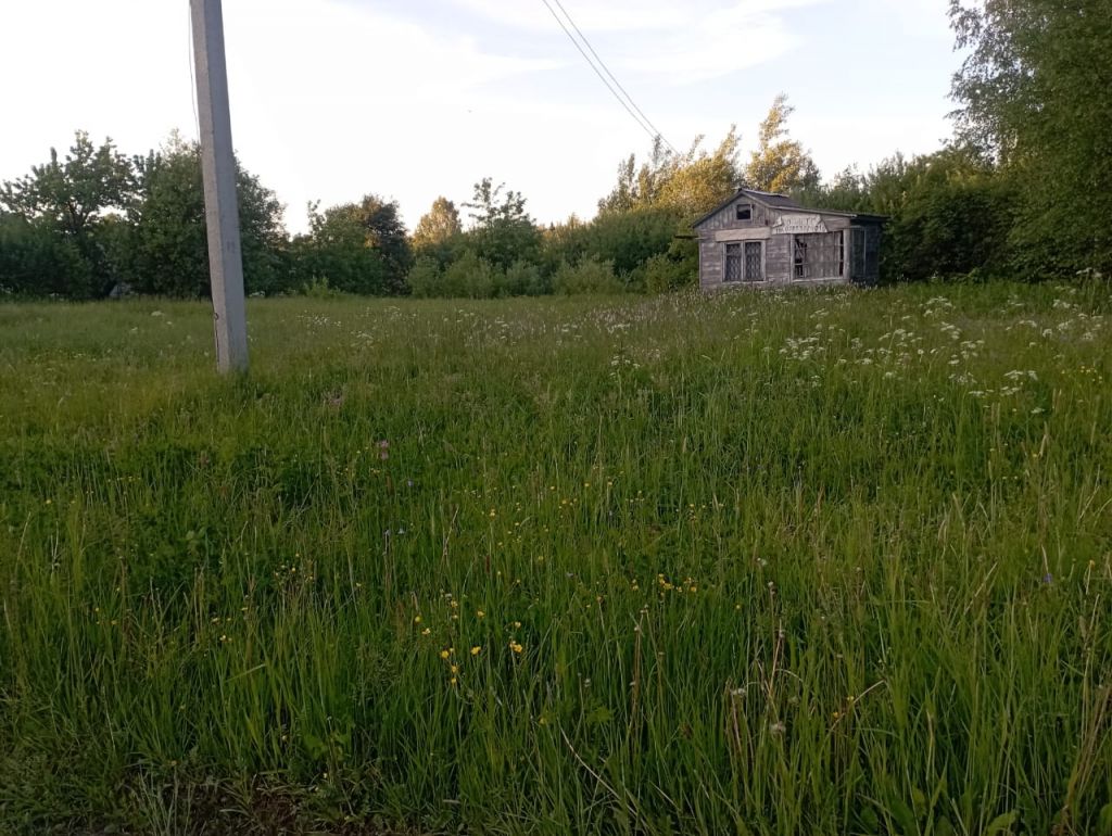 Продажа участка, Починки,  4