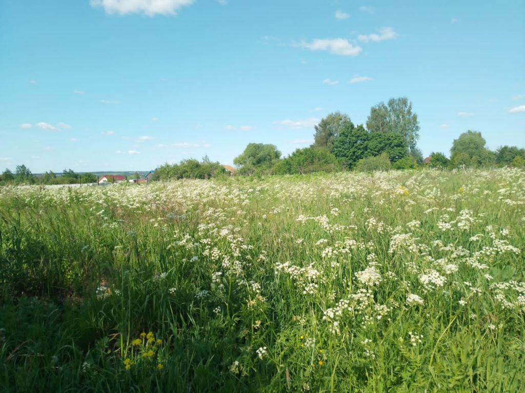 Продажа участка, Красное