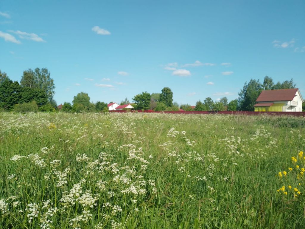 Продажа участка, Красное