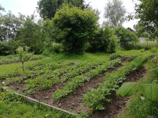 Продажа дома, 47м <sup>2</sup>, 13 сот., Ершово