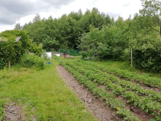 Продажа дома, 47м <sup>2</sup>, 13 сот., Ершово