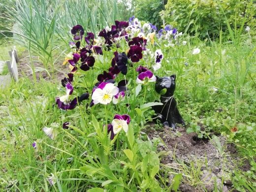 Продажа дома, 47м <sup>2</sup>, 13 сот., Ершово