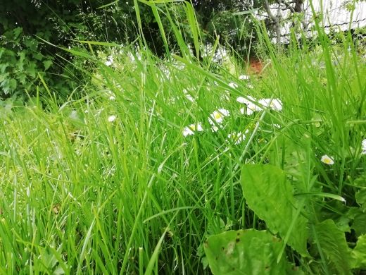 Продажа дома, 47м <sup>2</sup>, 13 сот., Ершово