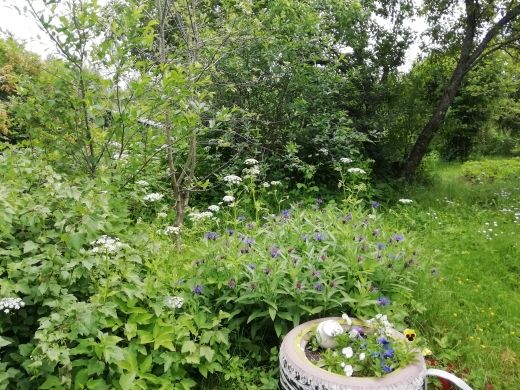 Продажа дома, 47м <sup>2</sup>, 13 сот., Ершово