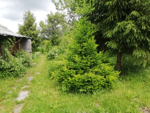 Продажа дома, 47м <sup>2</sup>, 13 сот., Ершово