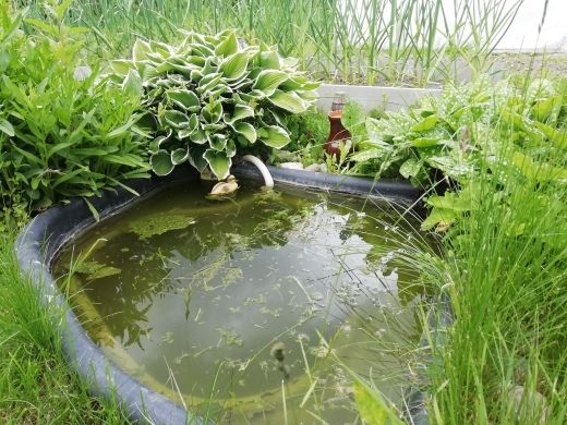 Продажа дома, 47м <sup>2</sup>, 13 сот., Ершово