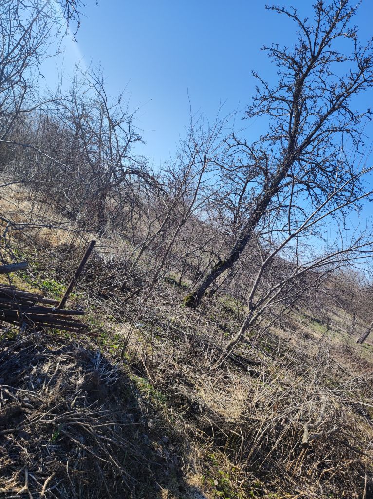 Продажа участка, Старая Пунерь,  108