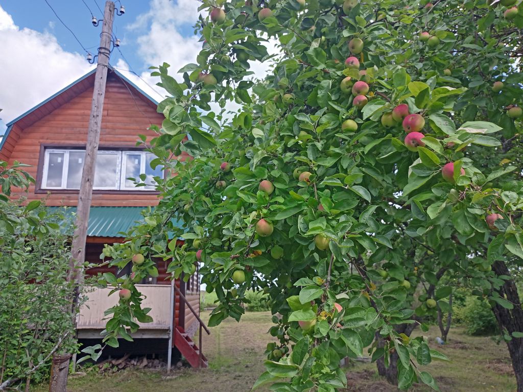 Продажа дома, 73м <sup>2</sup>, 24 сот., Пустораменка,  67