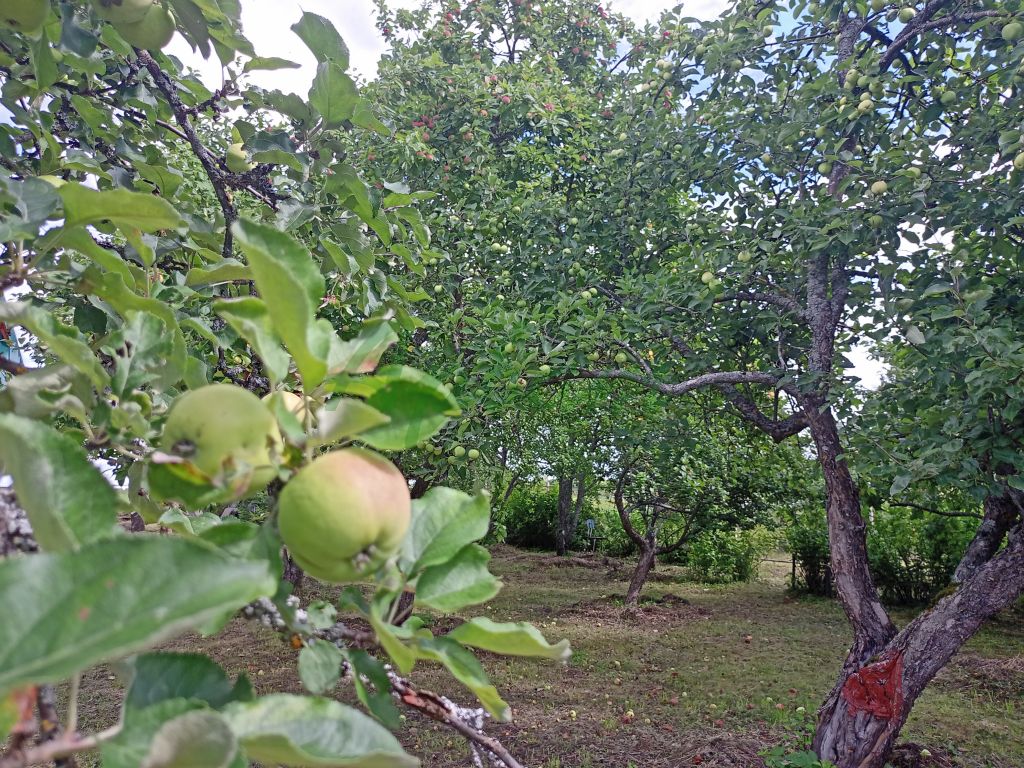 Продажа дома, 73м <sup>2</sup>, 24 сот., Пустораменка,  67