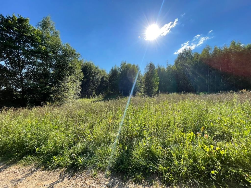 Продажа участка, Красногор