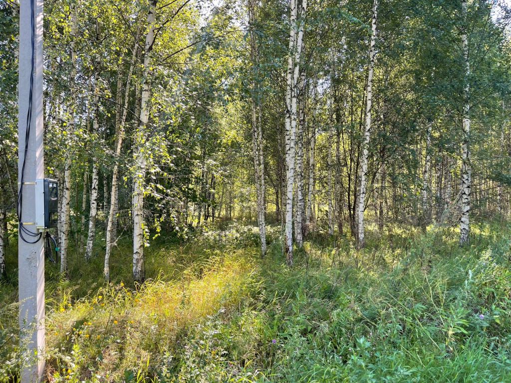 Продажа участка, Красногор