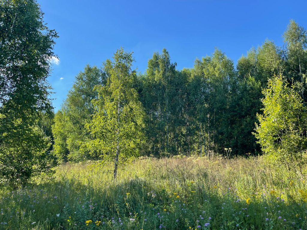 Продажа участка, Красногор