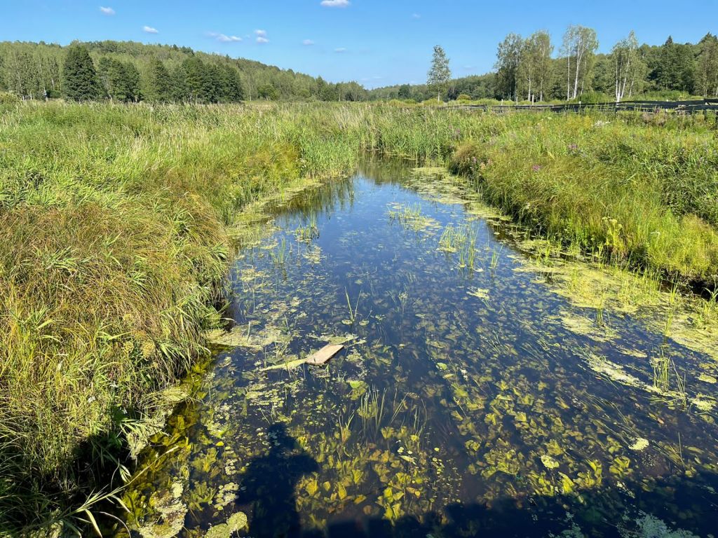 Продажа участка, Красногор